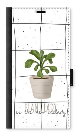 Houseplant on windowpane