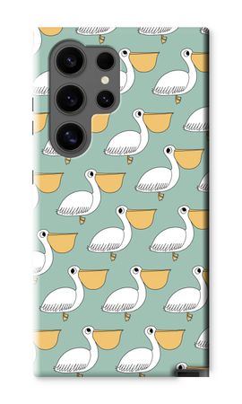 Pelican