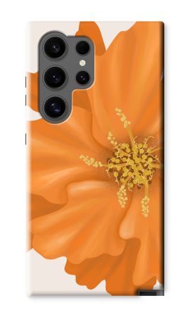 Orange Ellila flower