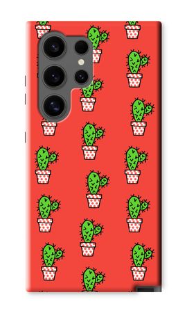 Mini cactus
