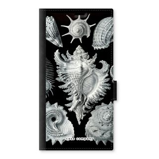 Haeckel Prosobranchia