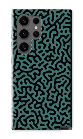 Turing pattern