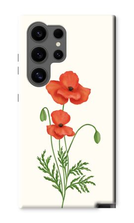 Red poppy