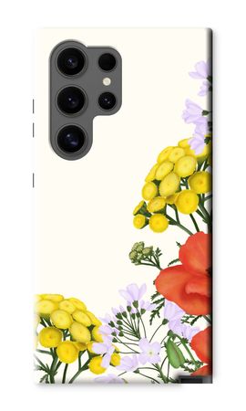 Flores silvestres