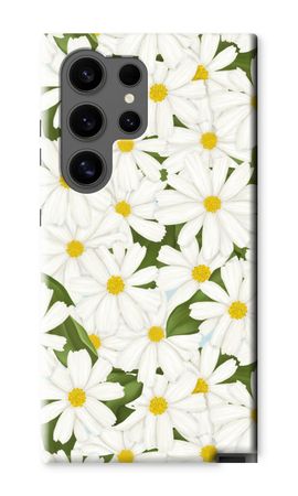 Summer Daisies