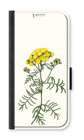 Tansy