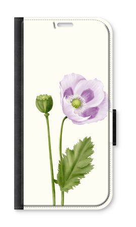 Purple poppy