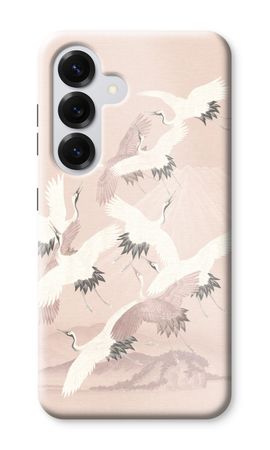 Japanese Crane Birds