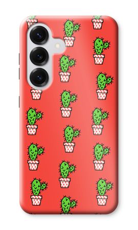 Mini cactus
