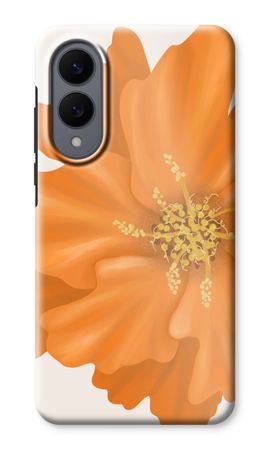 Orange Ellila flower