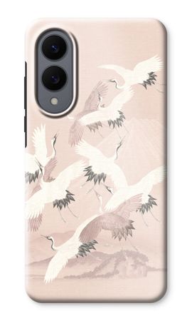 Japanese Crane Birds