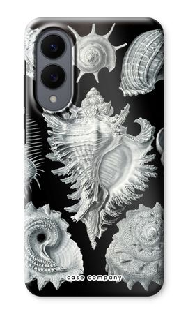 Haeckel Prosobranchia