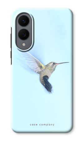 Hummingbird