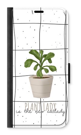 Houseplant on windowpane