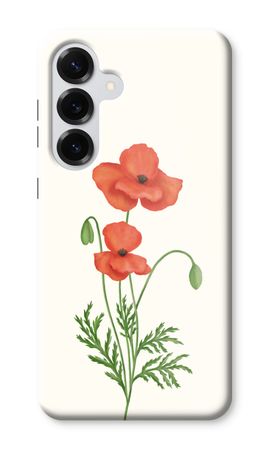 Red poppy