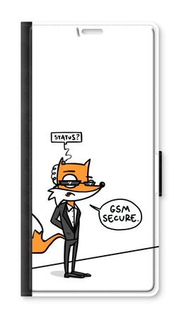GSM secure