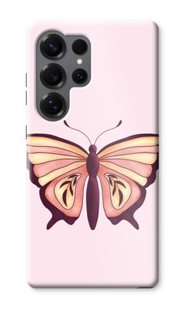 Pink Butterfly