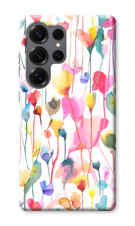 Wild Colorful Flowers