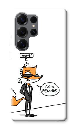 GSM secure