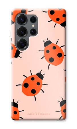 Ladybugs