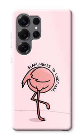 Flamingoes to voicemail