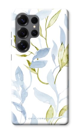 Flora