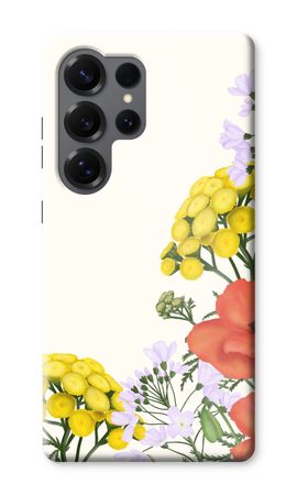 Wildblumen