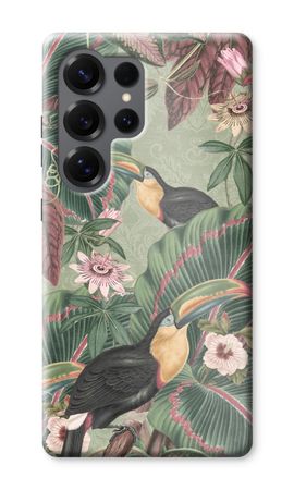Tropical jungle toucan