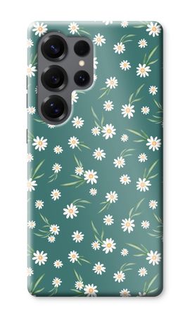 Petites marguerites