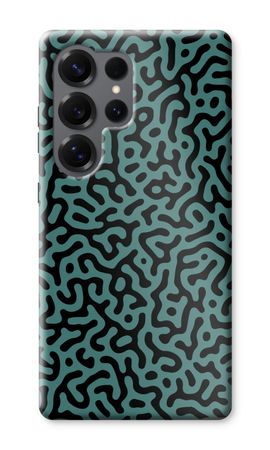 Turing pattern