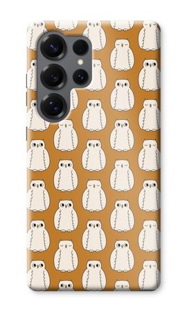 Owls