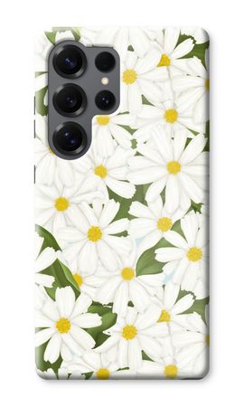 Summer Daisies
