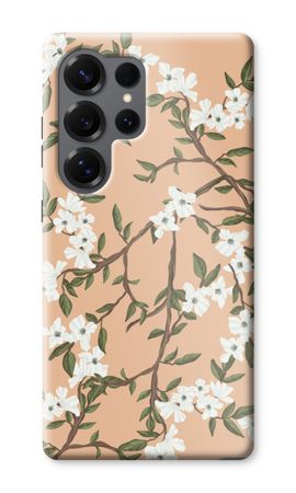 Blossoming spring