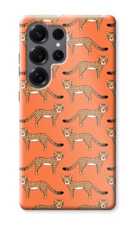 Cheetah