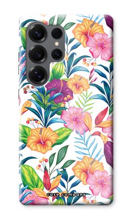 Tropical 2