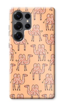 Camel