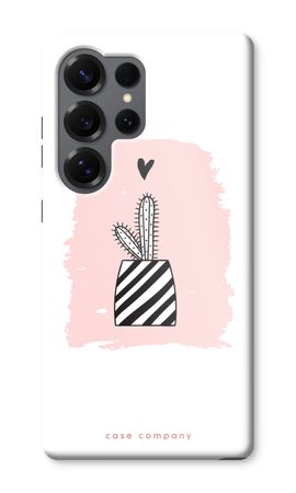 Black and white cactus