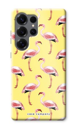 Flamingos yellow