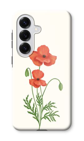 Red poppy