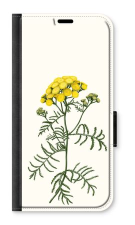 Tansy