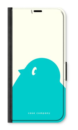 BIG Robin 1