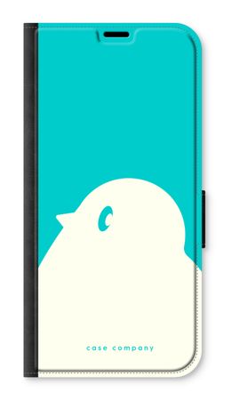BIG Robin 2