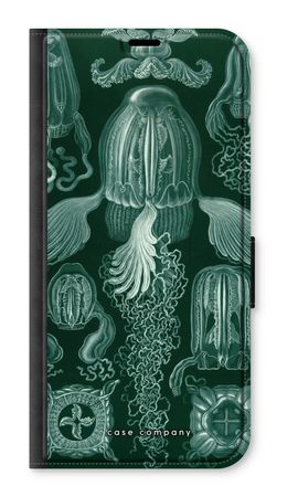 Haeckel Cubomedusae