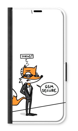 GSM secure