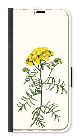 Tansy