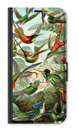 Haeckel Trochilidae