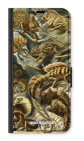 Haeckel Lacertilia