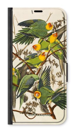Carolina Parrot