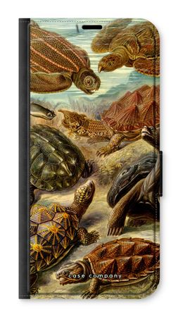 Haeckel Chelonia