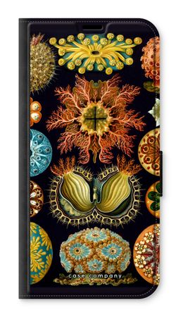 Haeckel Ascidiae